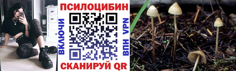 Псилоцибиновые грибы мухоморы  Кирово-Чепецк 