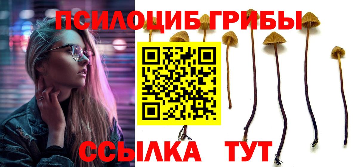 Кирово-Чепецк  Псилоцибиновые грибы Psilocybe  Вход с VPN  Псилоцибиновые грибы Psilocybe 