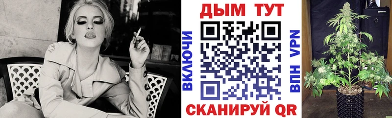 Шишки марихуана марихуана Кирово-Чепецк